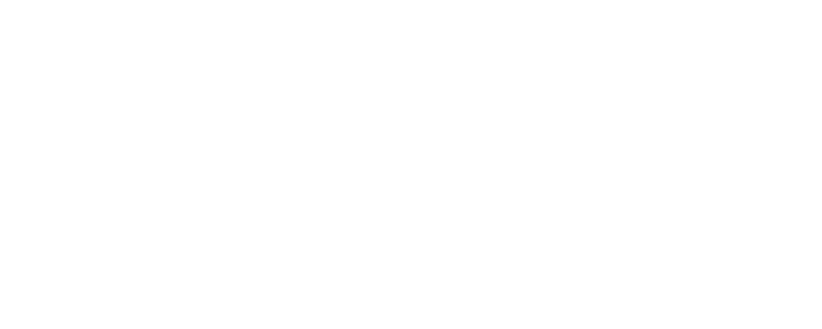Logo BlueVPS